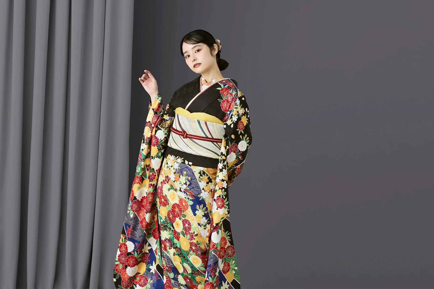 熨斗菊絢爛／黒